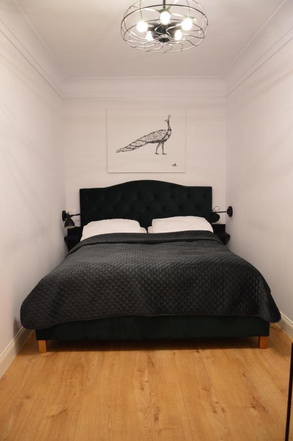 Apartamenty Szeroka 32 Stary Toruń 外观 照片